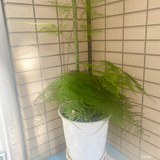 YuuKoさんの実例写真