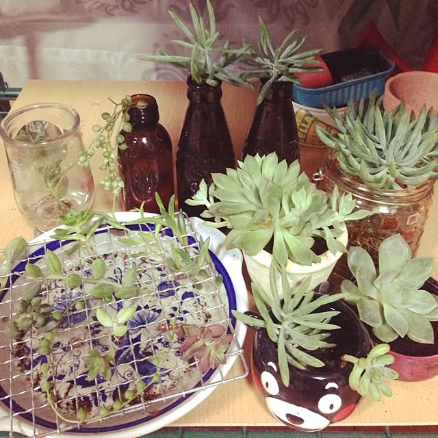 frogさんの実例写真