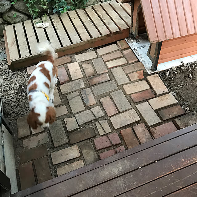 pepeさんの実例写真