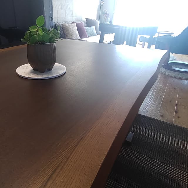 38catさんの部屋