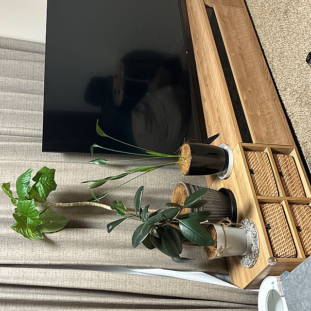 onomiさんの実例写真