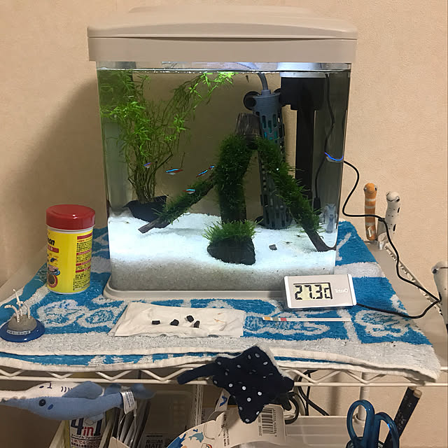 Nagiさんの実例写真