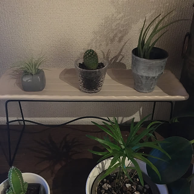 kinokoさんの実例写真
