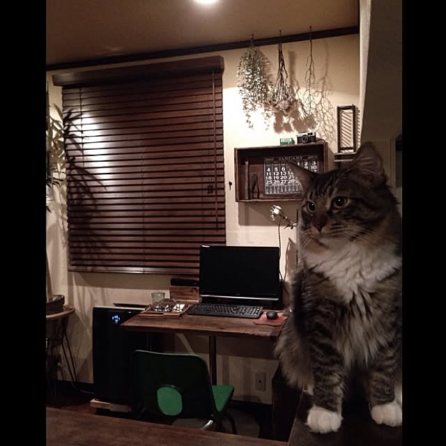 jnkaiさんの実例写真