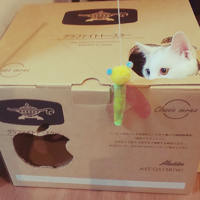 necoさんの実例写真