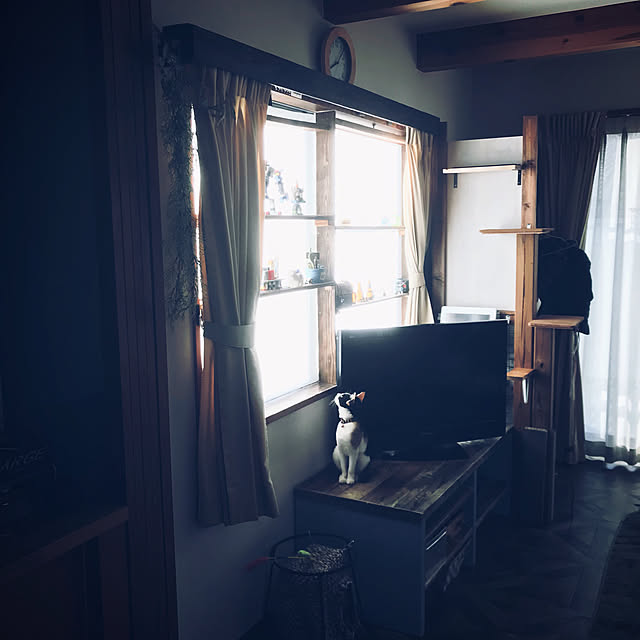 maroさんの実例写真