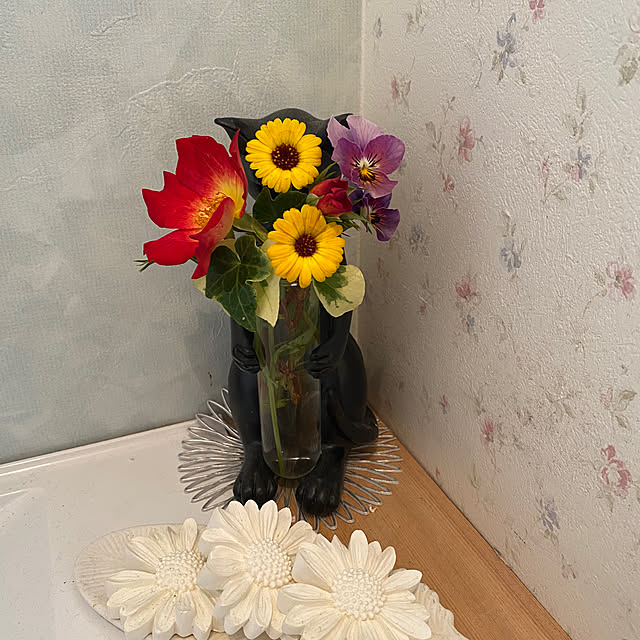 sukkorobiさんの実例写真