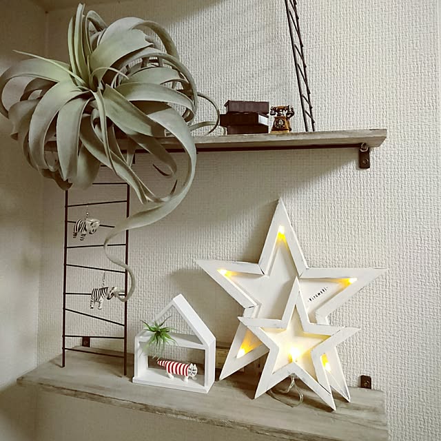 todorinkoさんの実例写真