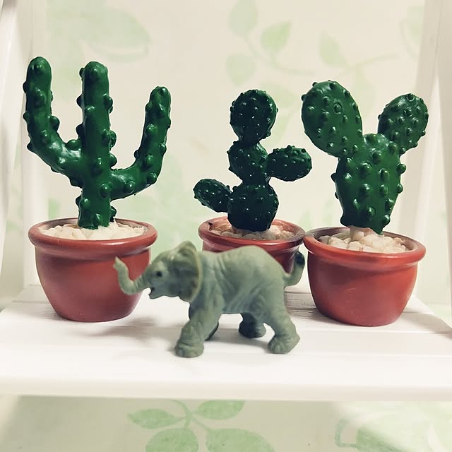 katさんの部屋