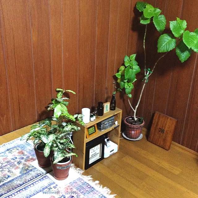 botanさんの実例写真