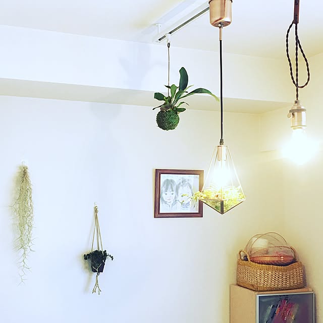 ankoさんの実例写真