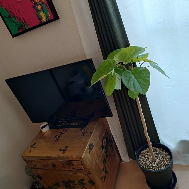 moruさんの部屋