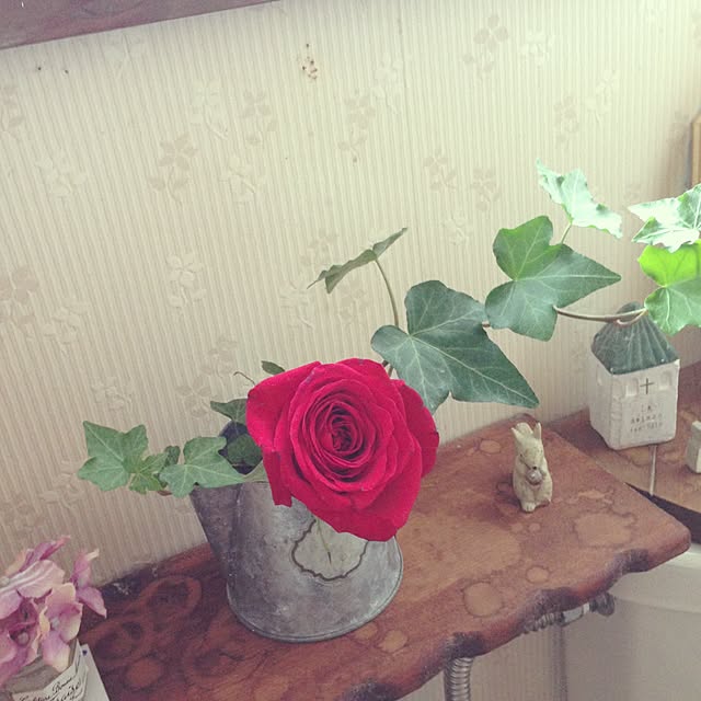 shi-koさんの実例写真