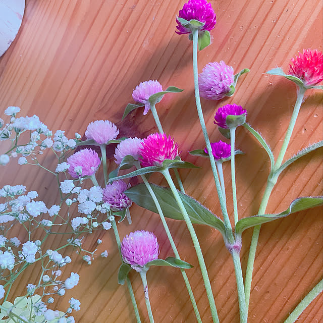 maymamさんの実例写真