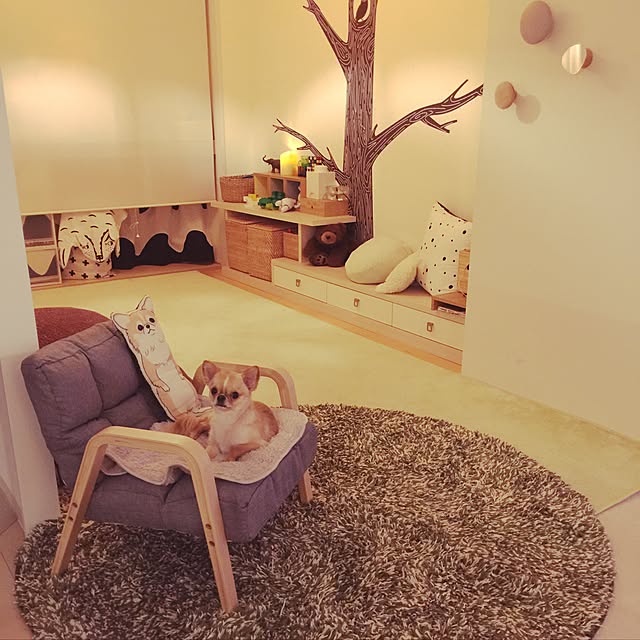 haruhinaさんの実例写真