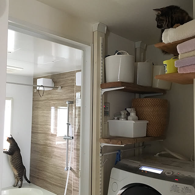 mikomaruさんの実例写真