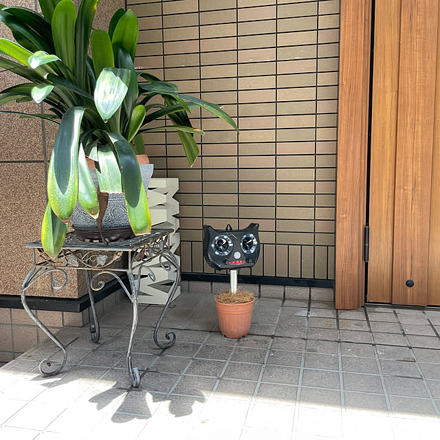 puriyuzuさんの実例写真