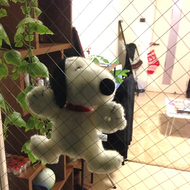 pomさんの実例写真