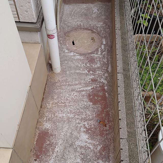 noguriさんの部屋