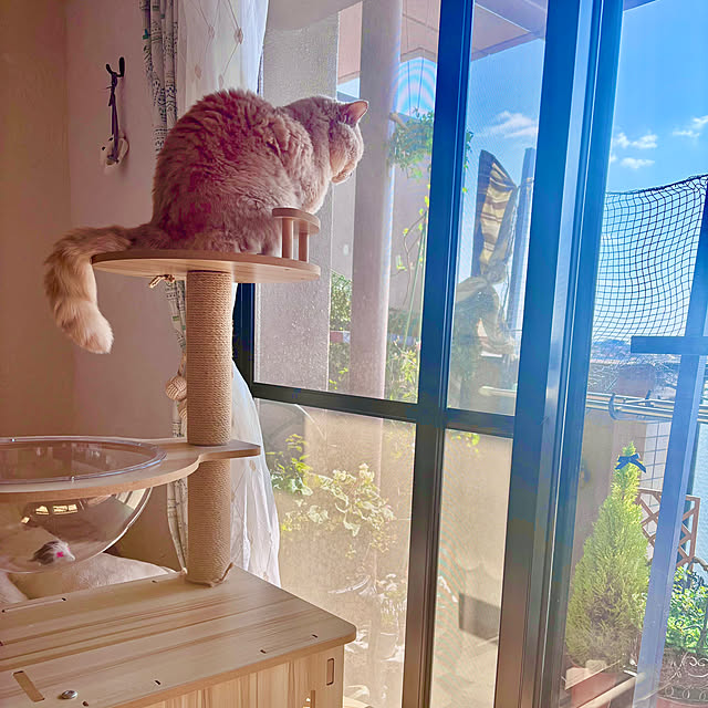 naokoさんの実例写真