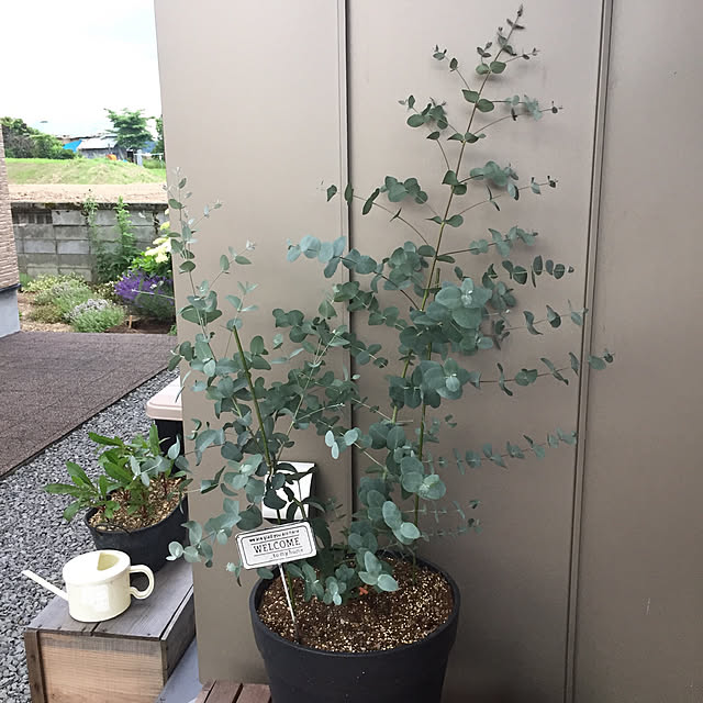 howdyさんの実例写真