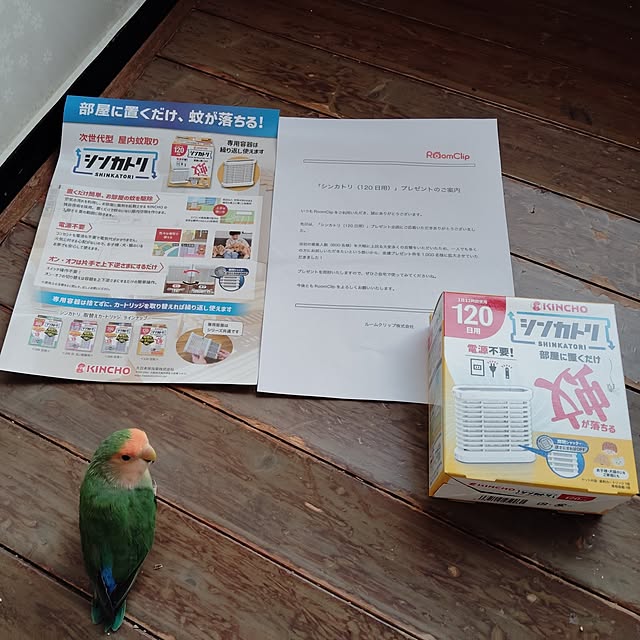 aoinokimiさんの実例写真