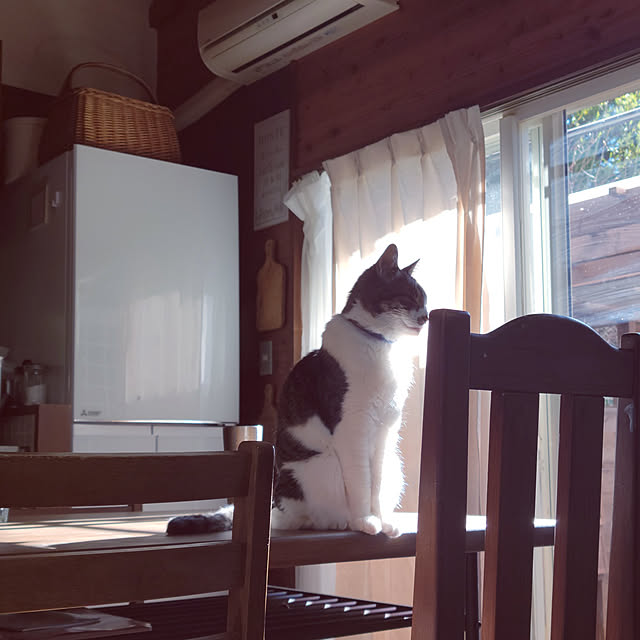 yukiさんの実例写真