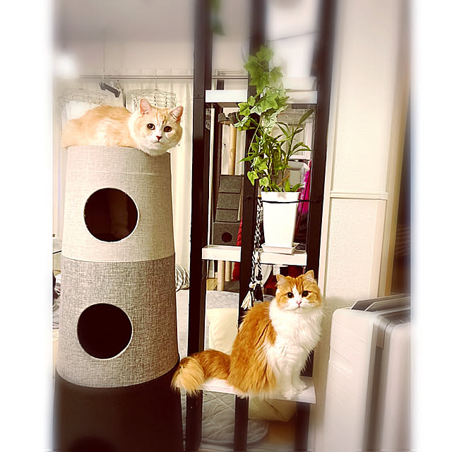 H.Tさんの実例写真