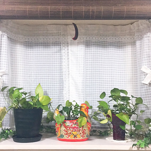 AOIさんの実例写真