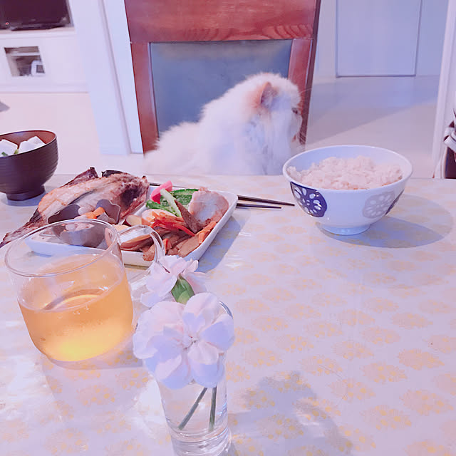 hinamama5さんの実例写真