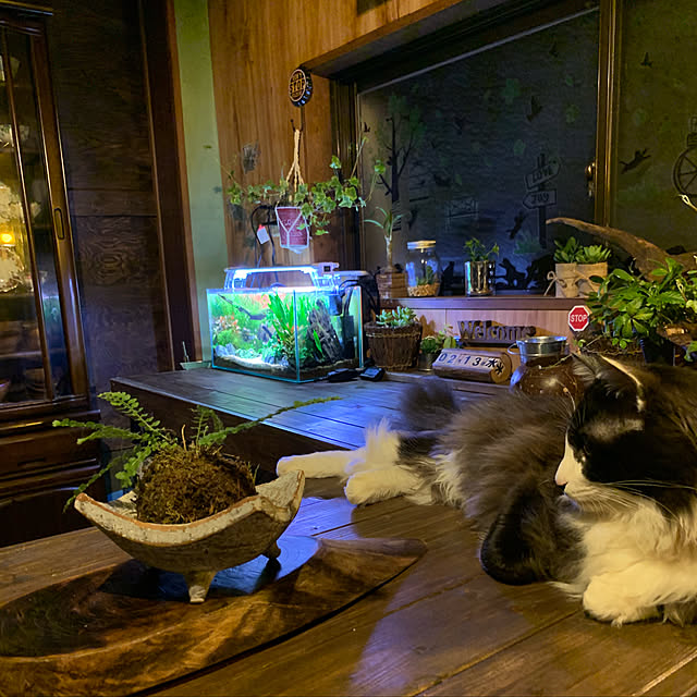 marurunさんの実例写真