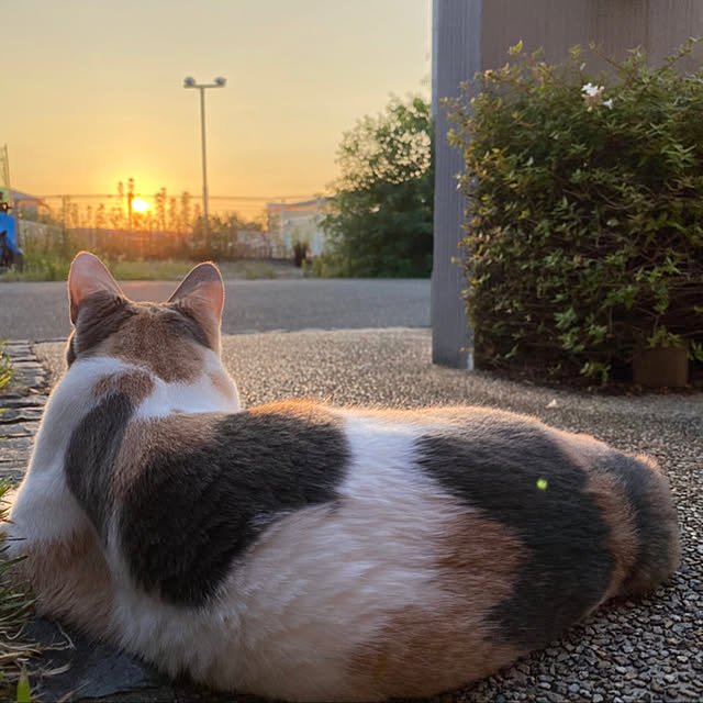 y_09khsm23さんの実例写真