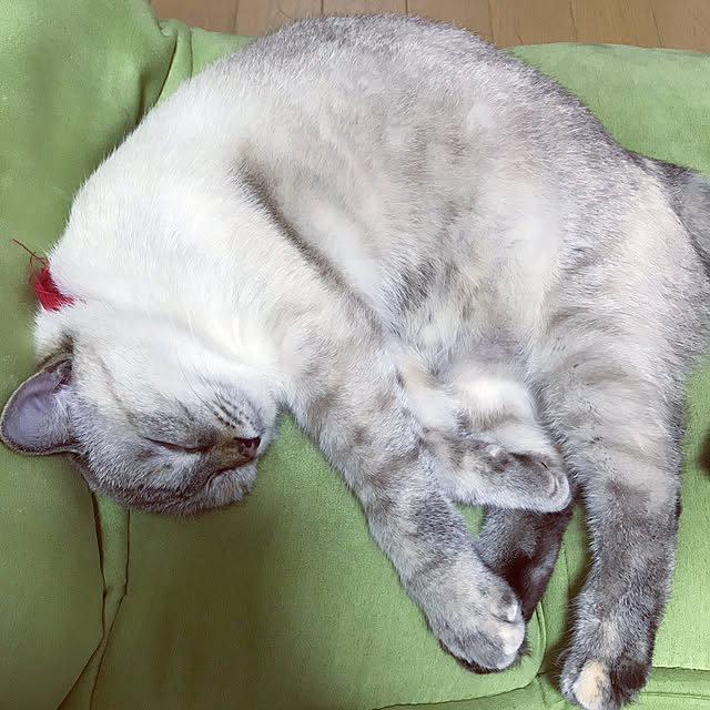 nachuさんの実例写真
