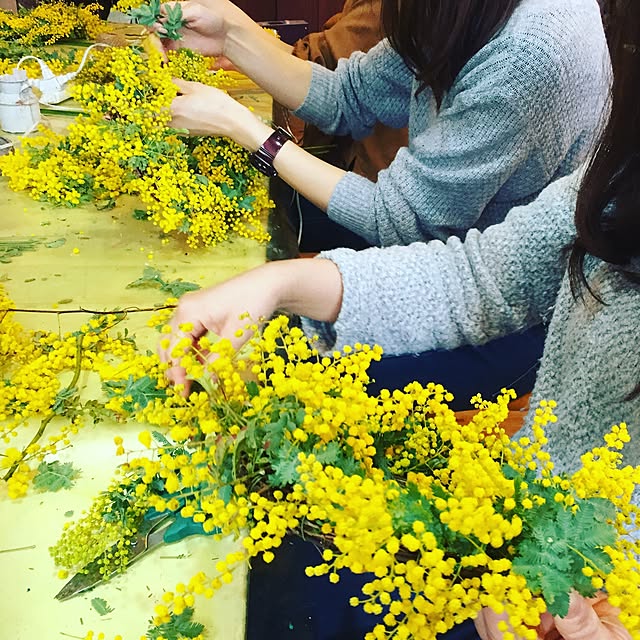 Harukaさんの実例写真