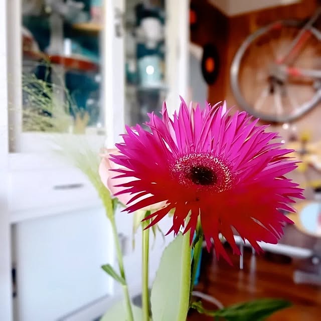cafe0415hさんの実例写真