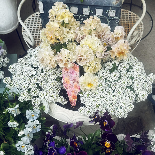 cocoさんの実例写真
