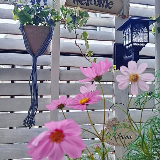 moko.7525himeさんの部屋