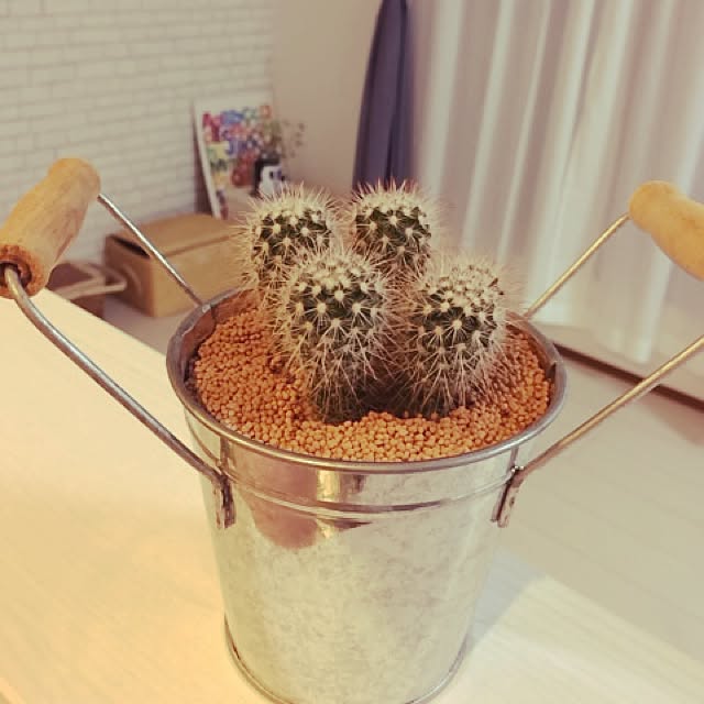 E.mさんの実例写真