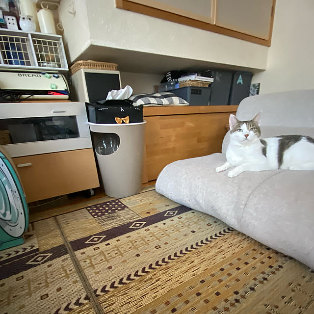 Lufuさんの実例写真