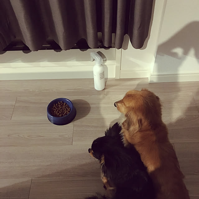 yumikoさんの実例写真