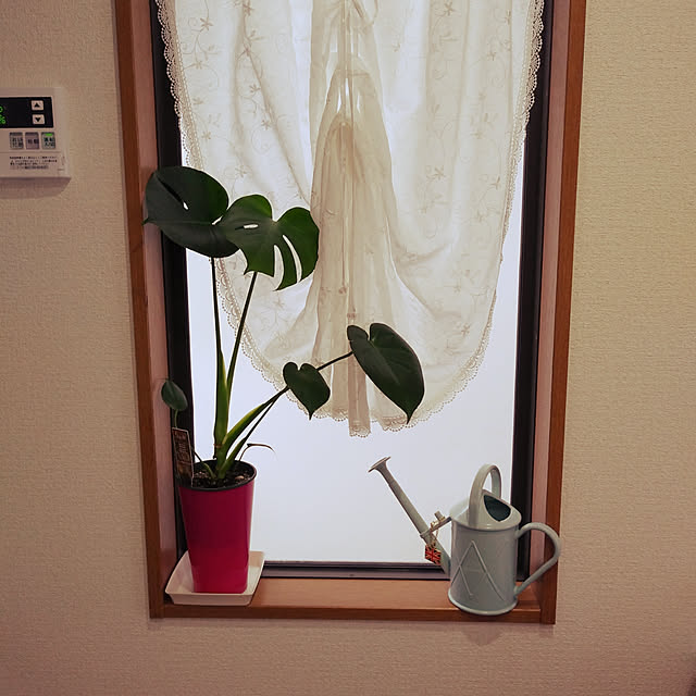 yoshiさんの実例写真