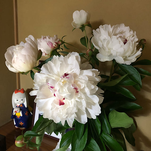 t-blueさんの実例写真