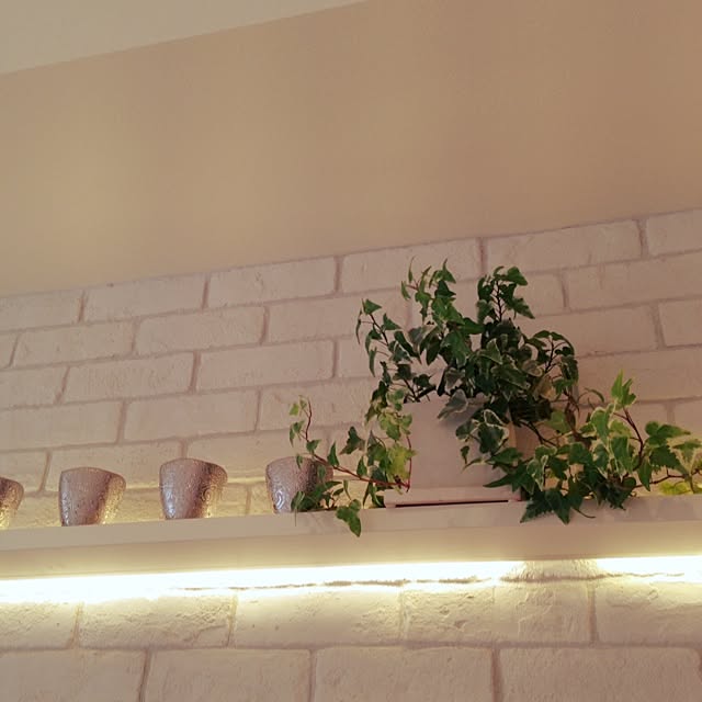 棚/観葉植物のインテリア実例 - 2014-09-03 16:02:33