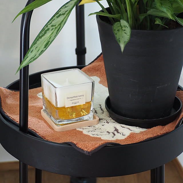 Sakkinさんの部屋