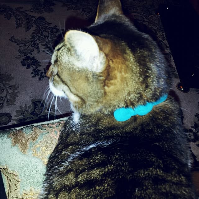 emmyyさんの実例写真