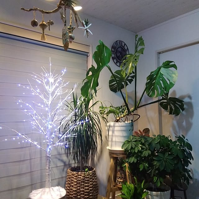 leeさんの実例写真