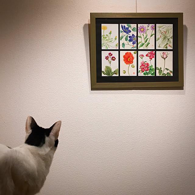 nobikoさんの実例写真