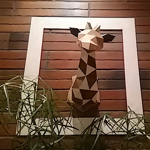 spinetailさんの実例写真