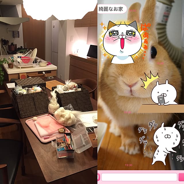 kinako_shiro_ginさんの実例写真