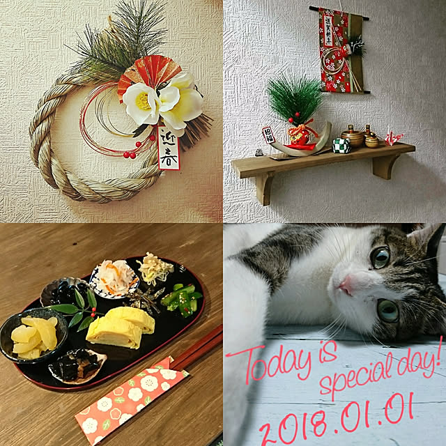 kiraさんの実例写真